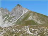Gamsspitzl